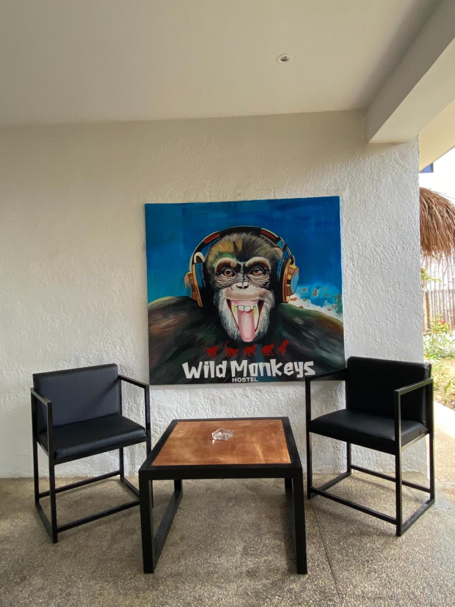 Wild Monkeys Hostel Moalboal Extérieur photo